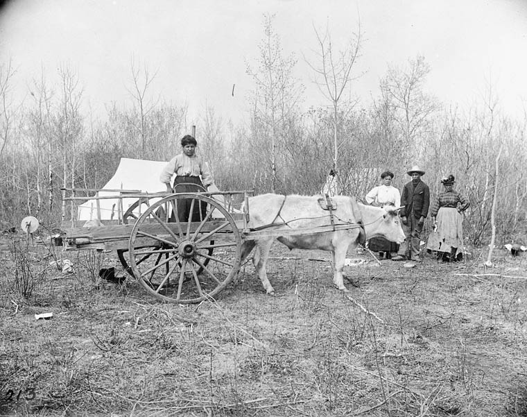 A Métis family at their camp with a Red River cart in Manitoba, black and white photograph, circa 1890 to 1910