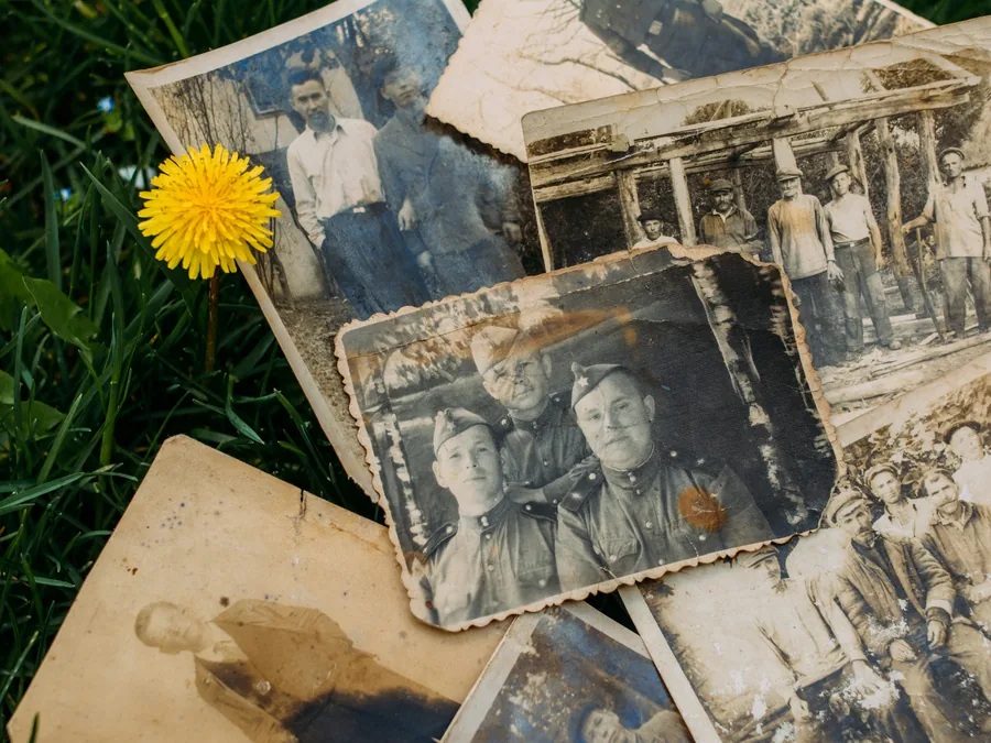 A collection of vintage black-and-white family photographs scattered on grass, with a yellow dandelion beside them.